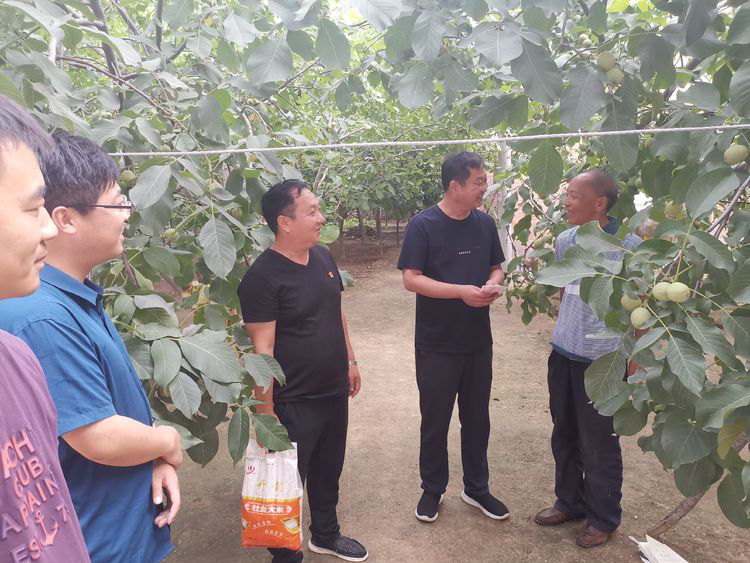 祥符区陈留镇:七一慰问老党员 组织关怀暖人心