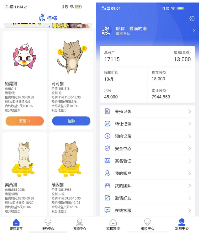 违法犯罪|网上“养猫”能赚大钱？6000多人被骗得血本无归！损失上亿