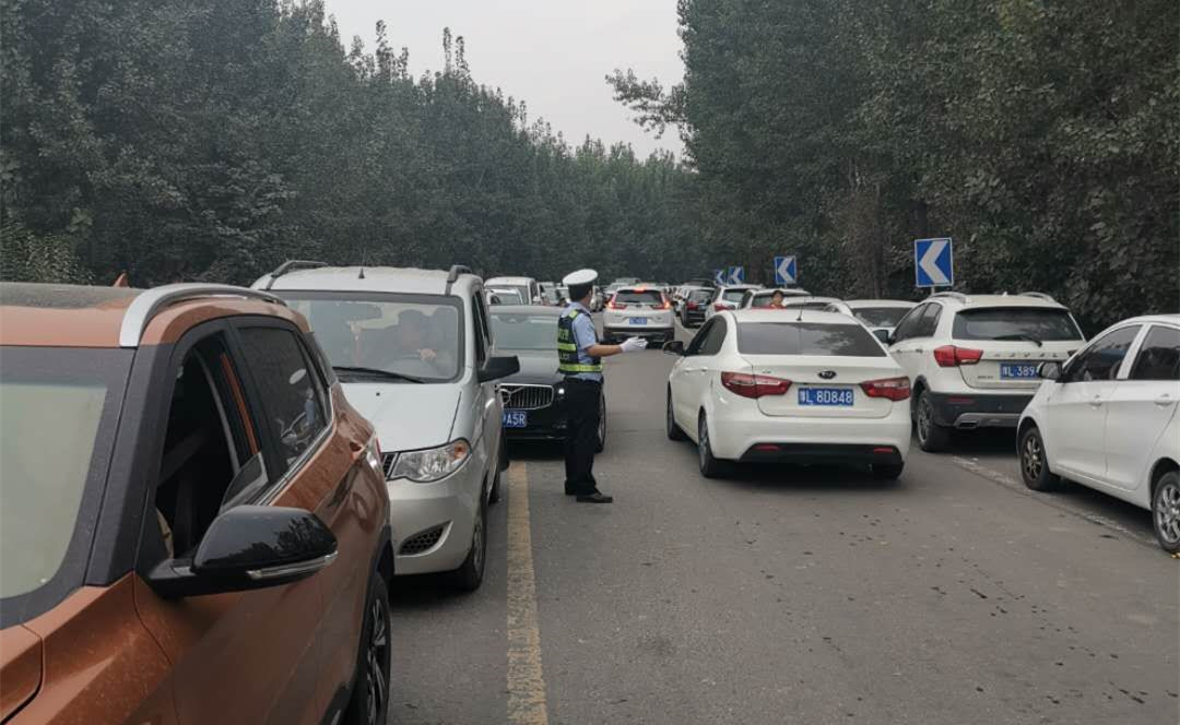 |粉黛乱子草花开梦幻，舞阳交警全力呵护这个“新晋”网红打卡地