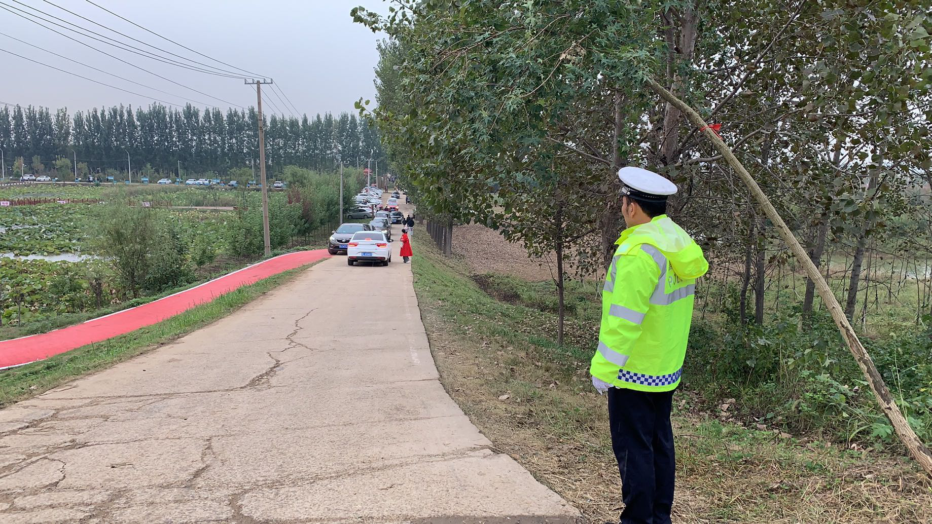 |粉黛乱子草花开梦幻，舞阳交警全力呵护这个“新晋”网红打卡地