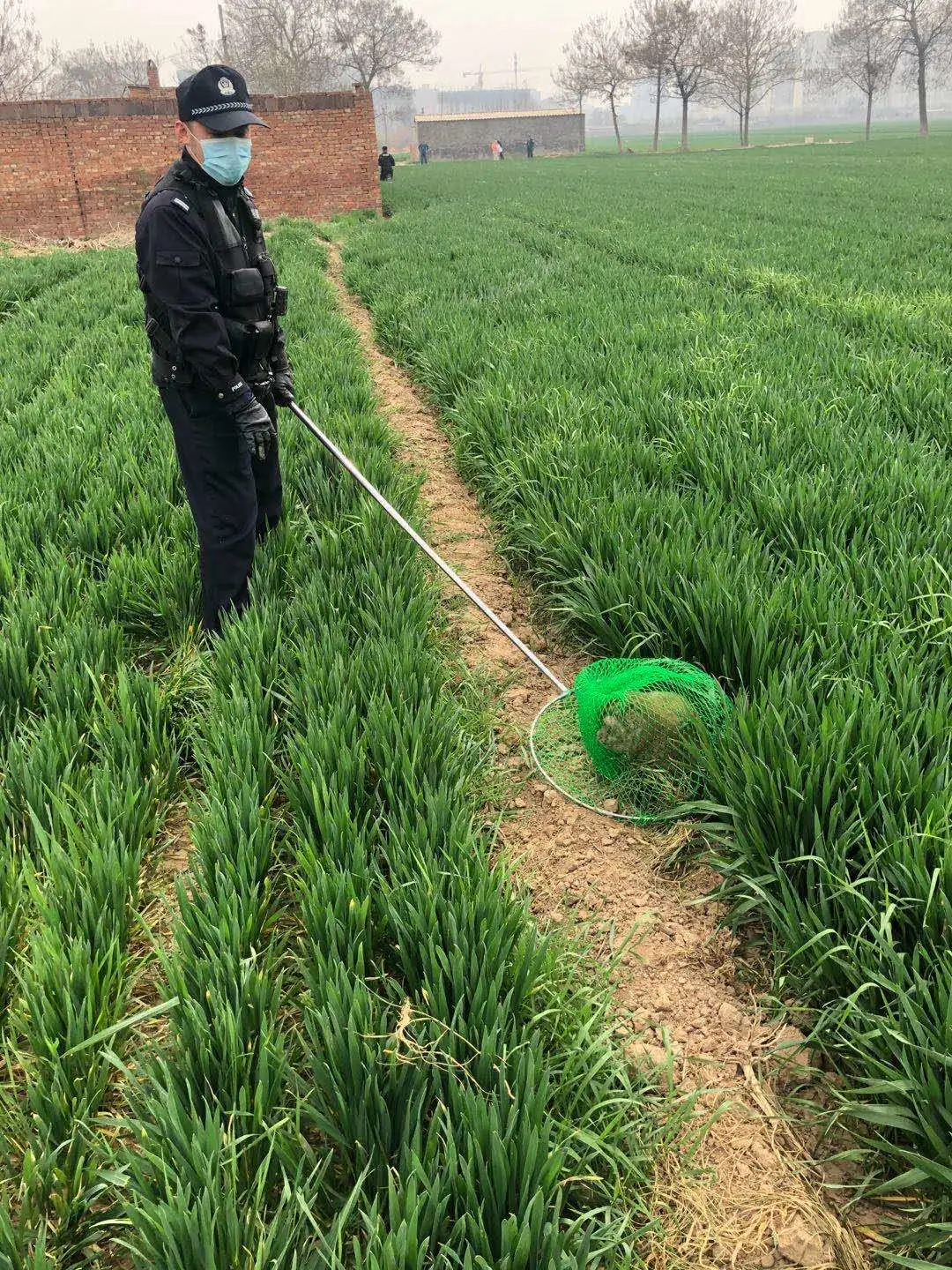 [猕猴]猕猴进入居民家中，咬伤孩子，难逃法“网”!