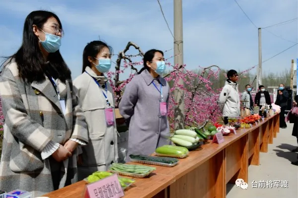 『黄河』帅气！河南这位镇党委书记代言桃花 豫东北角黄河文化游成了网红打卡地