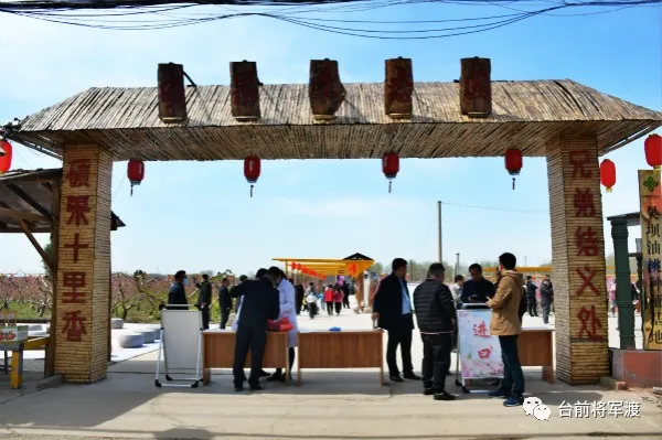 『黄河』帅气！河南这位镇党委书记代言桃花 豫东北角黄河文化游成了网红打卡地