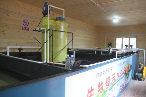 村里建起了污水处理站