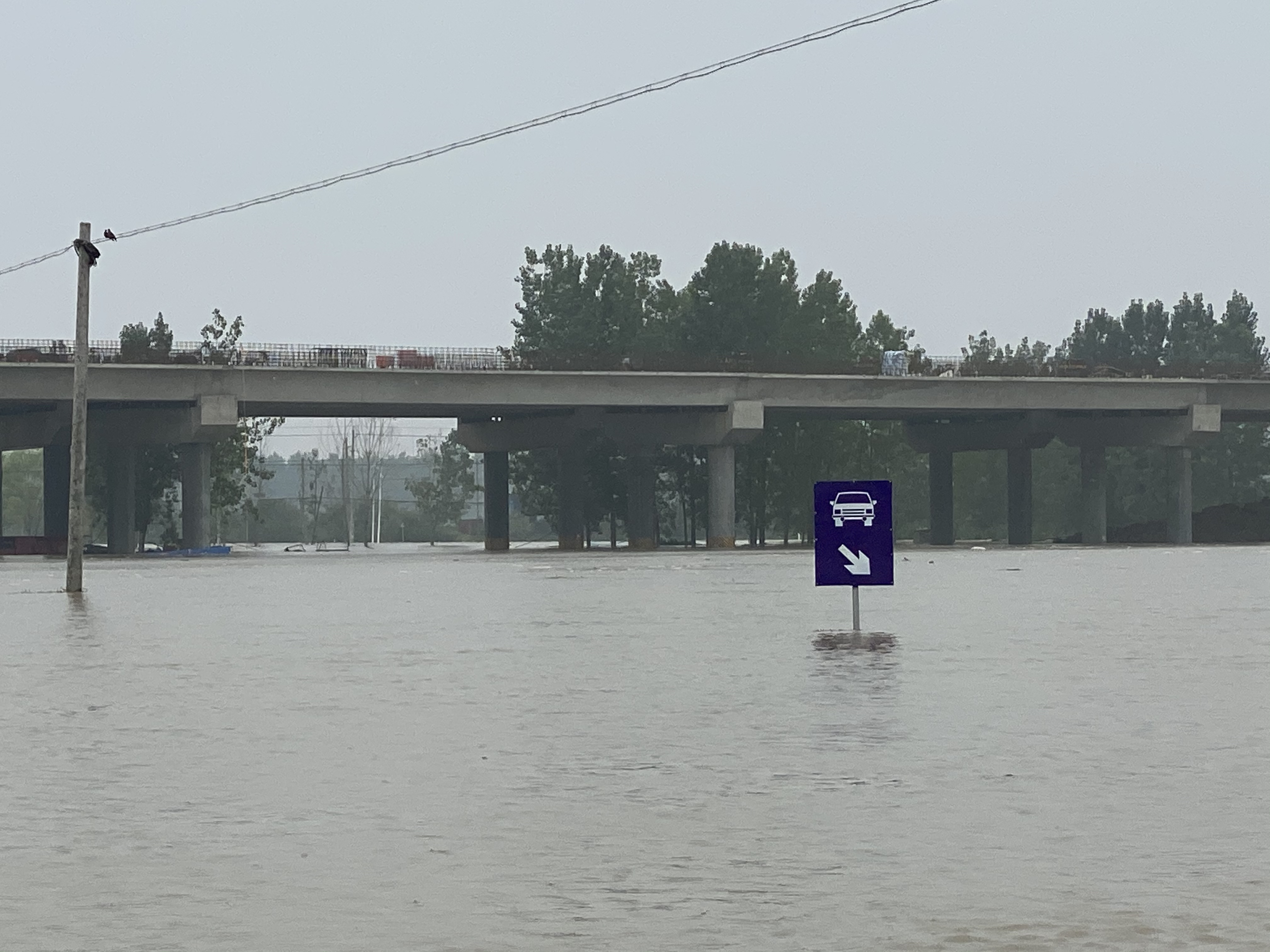 农村|淮河蓄洪区：农田早上“绿油油”，下午“水汪汪”