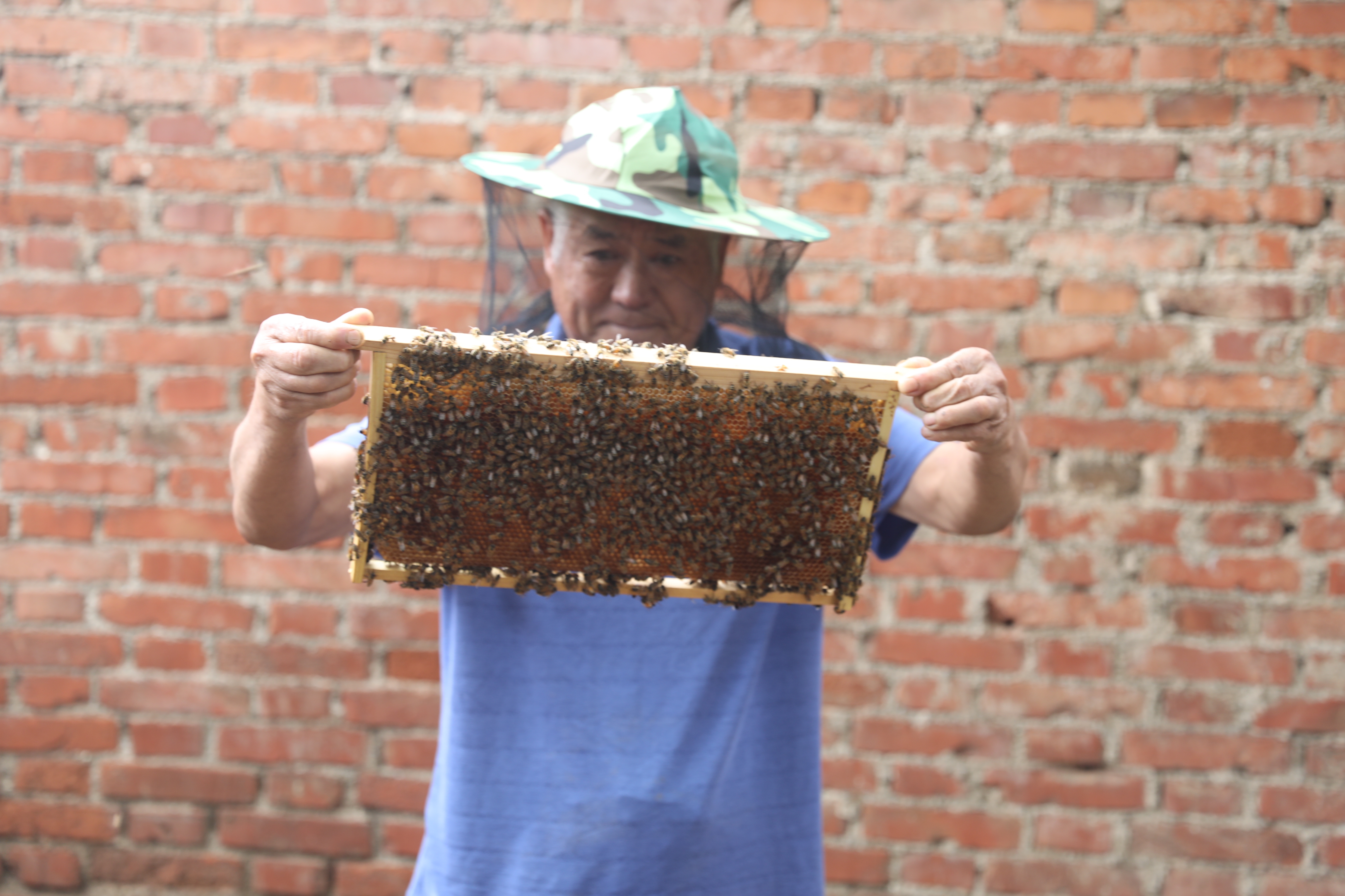 郑州贫困户在政府扶持下养蜂如今蜂蜜藏在深山无人知想买的来看看