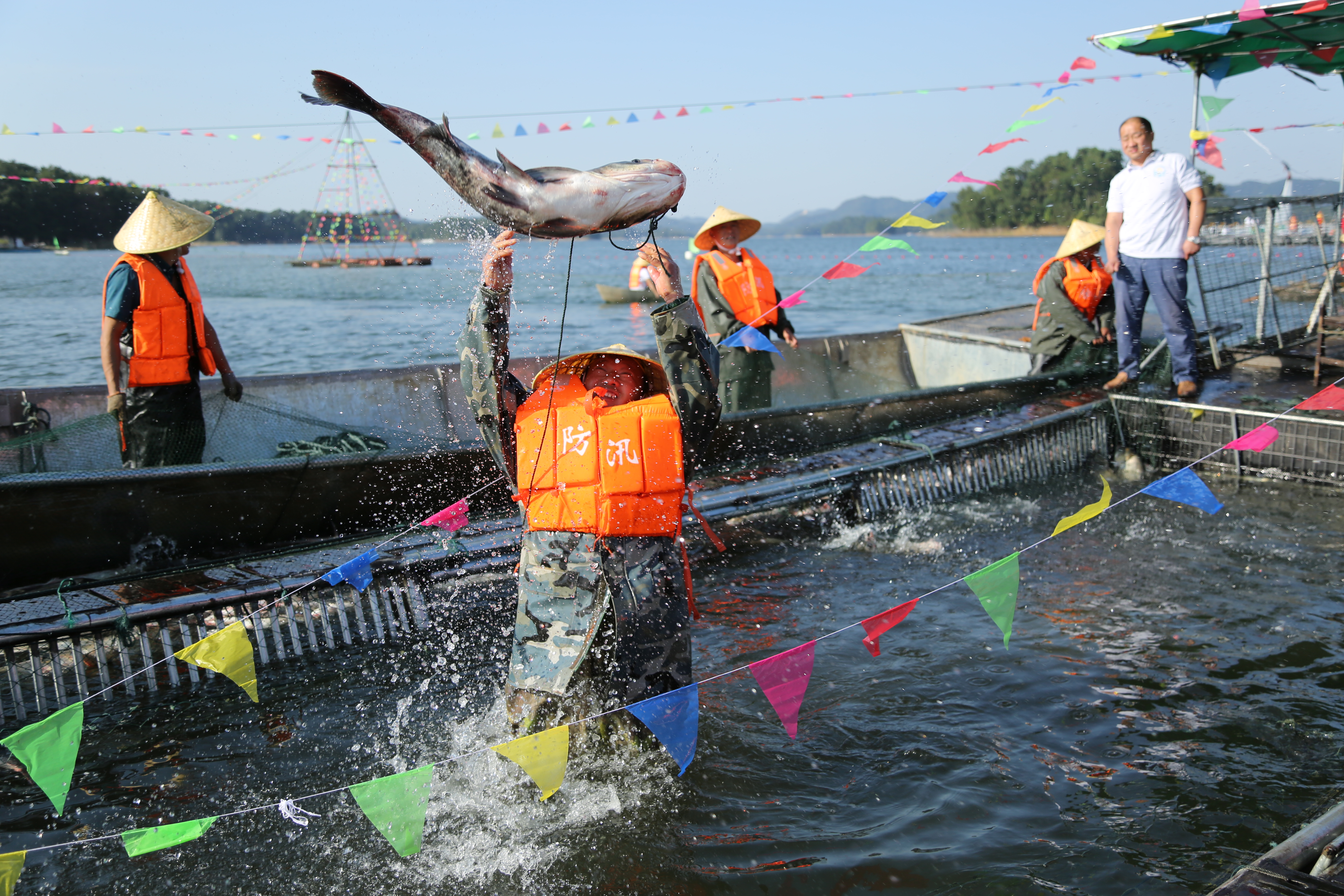 巨网捕鱼!信阳第六届南湾湖开渔节盛大开幕