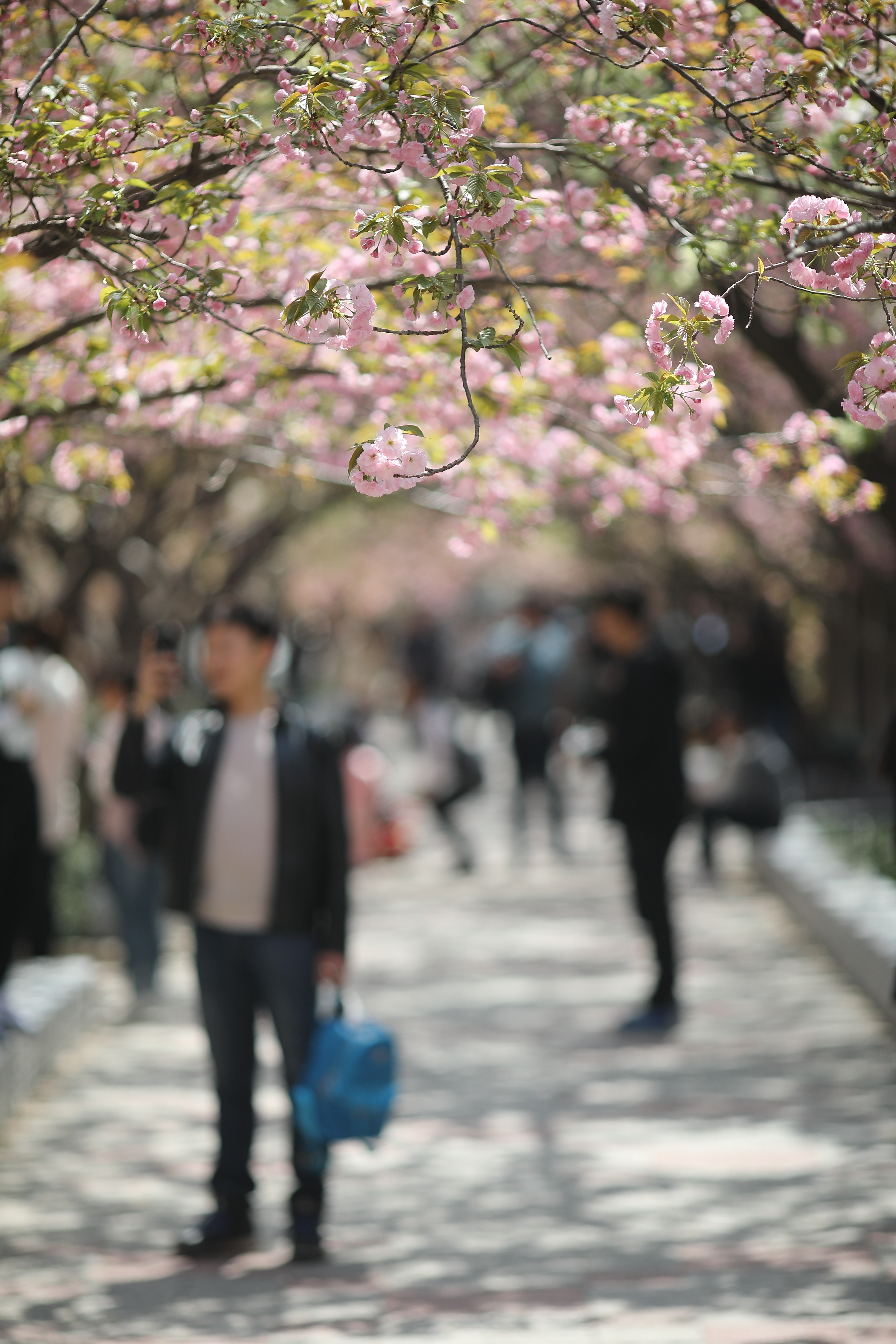 微信图片_20180402203504