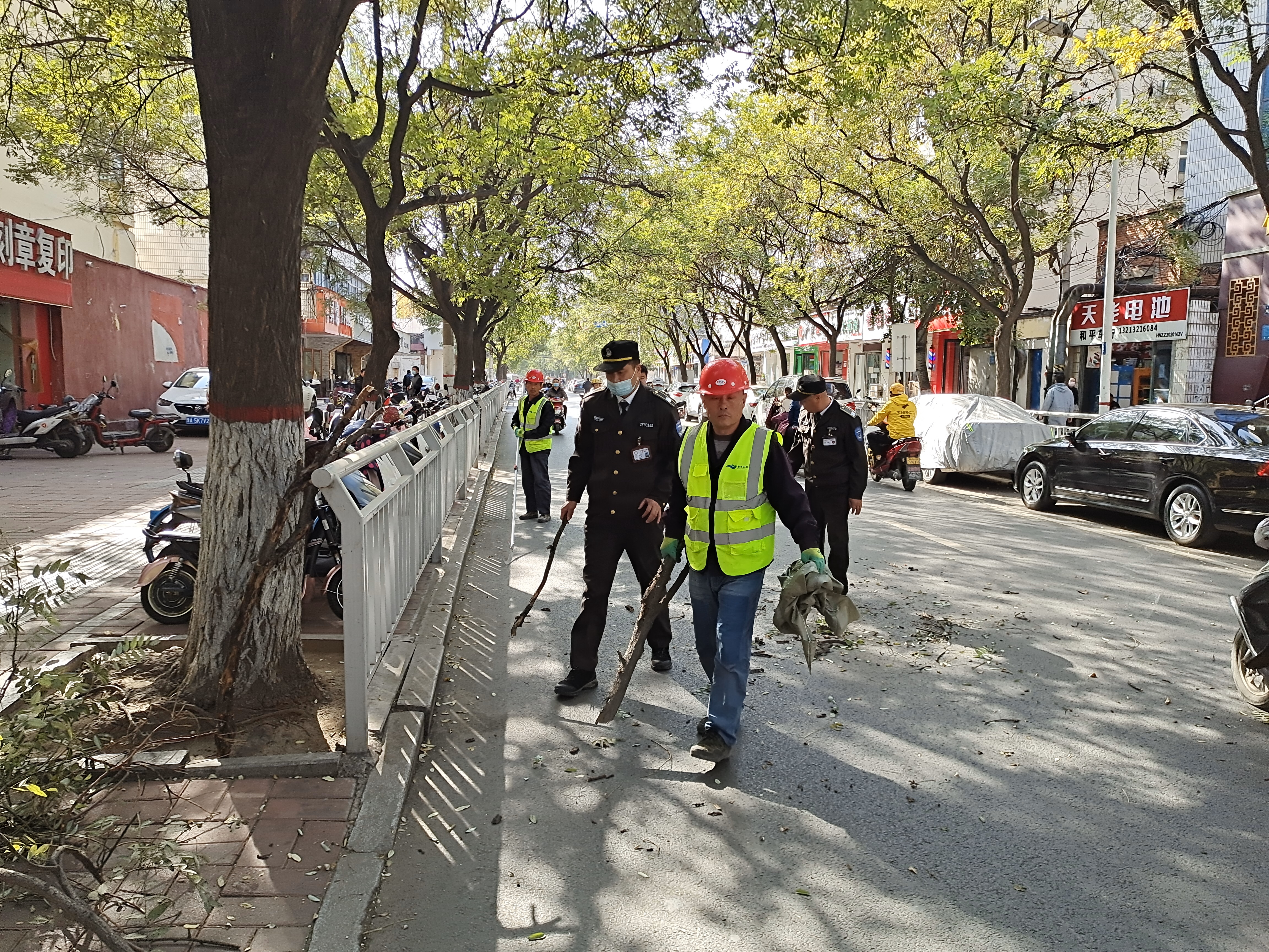 |危险！碗口粗的枯枝高悬马路上空