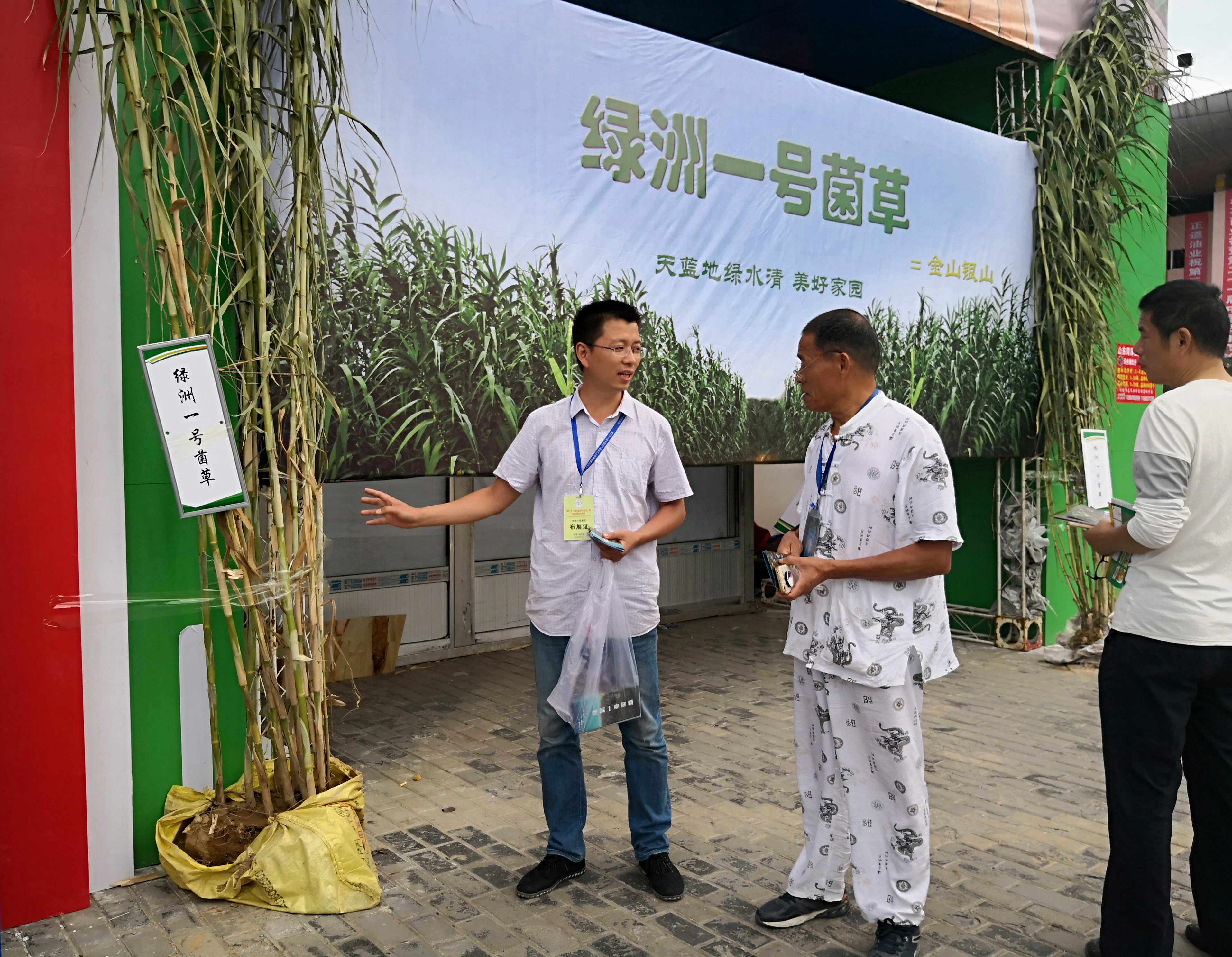 "菌草产业刚刚起步,促进产业发展,实现脱贫增收,菌草产业在驻马店各县