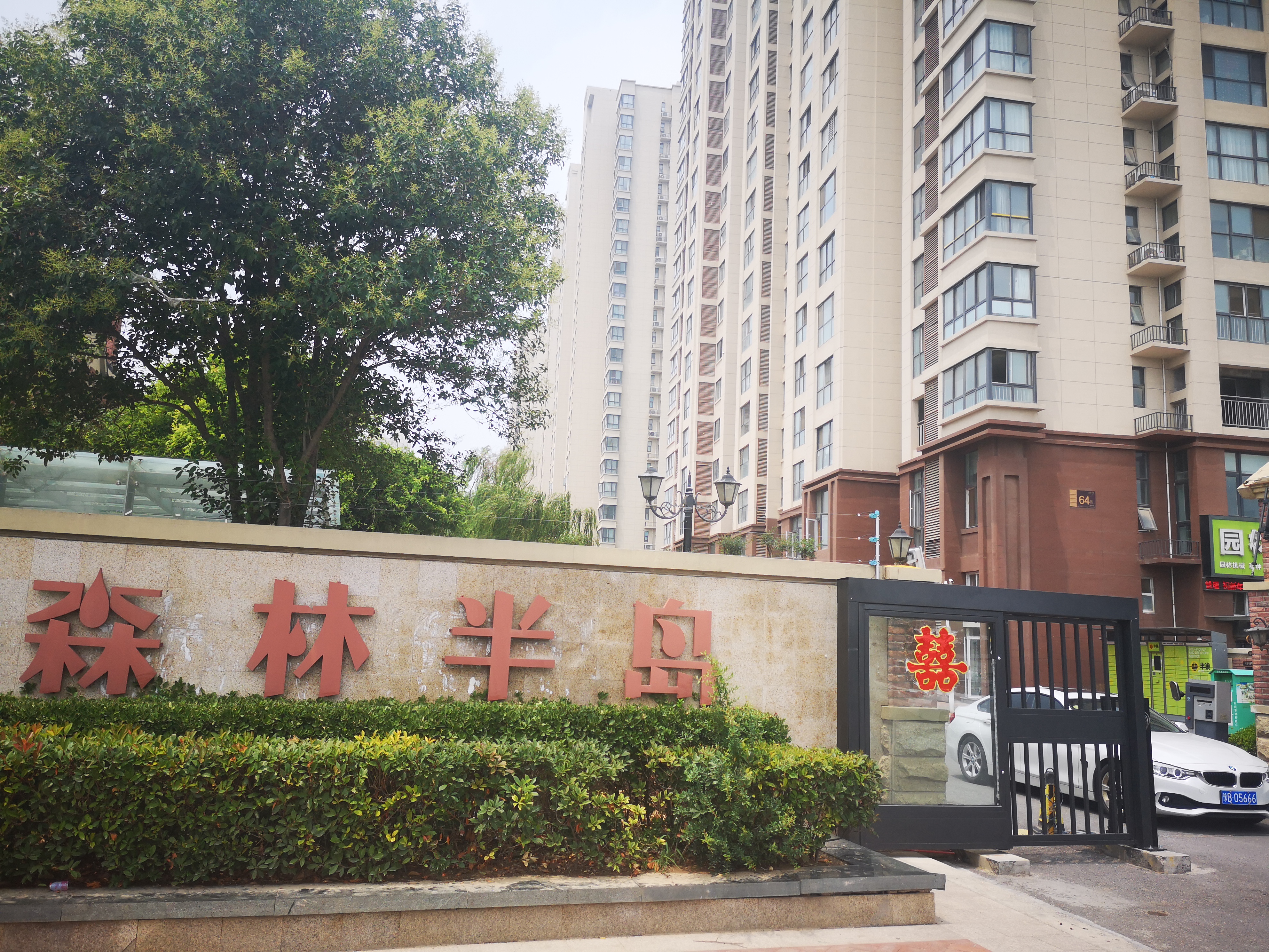 7月11日,记者来到位于开封新区的郑开森林半岛了解详情.