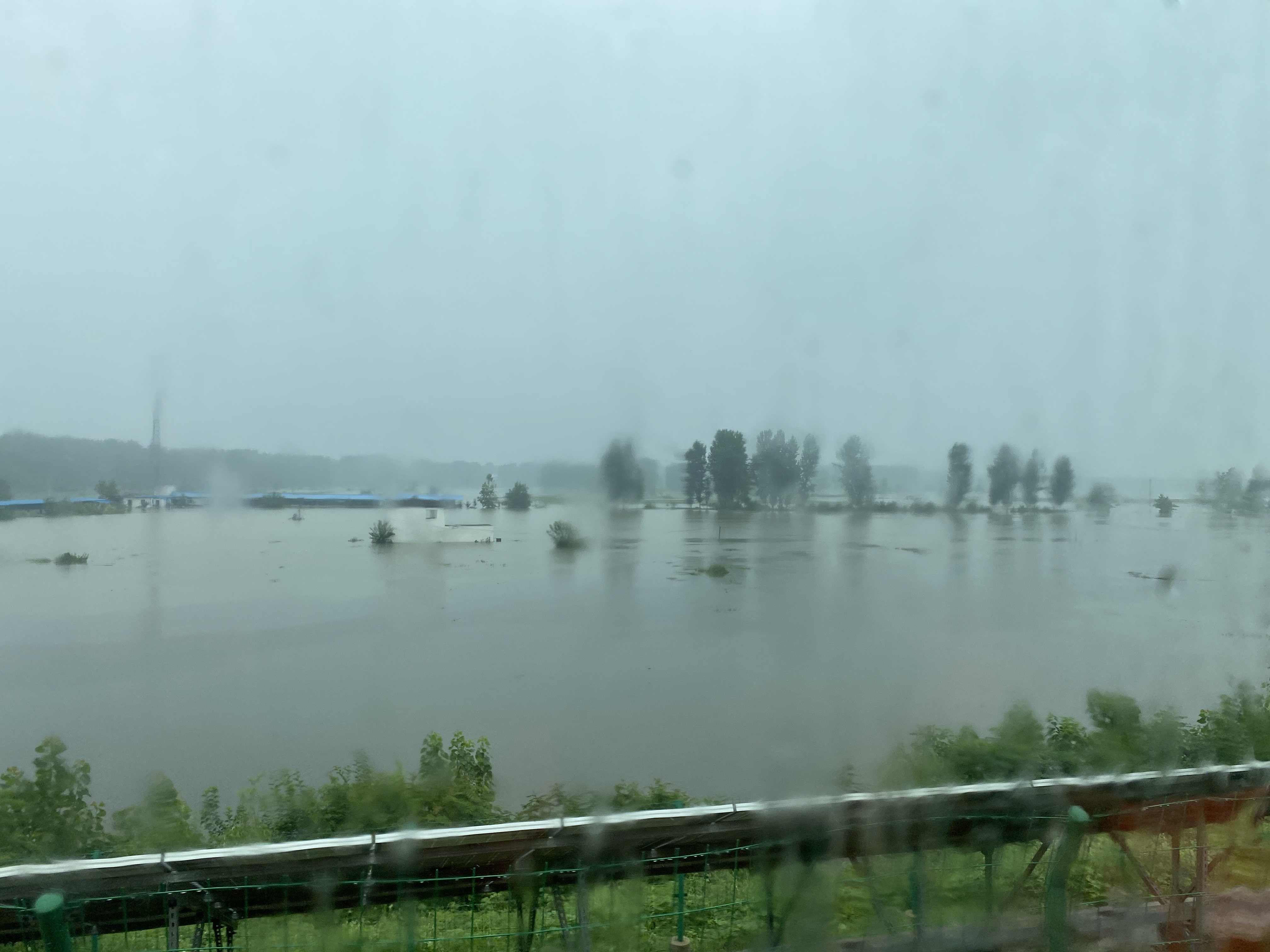 农村|淮河蓄洪区：农田早上“绿油油”，下午“水汪汪”