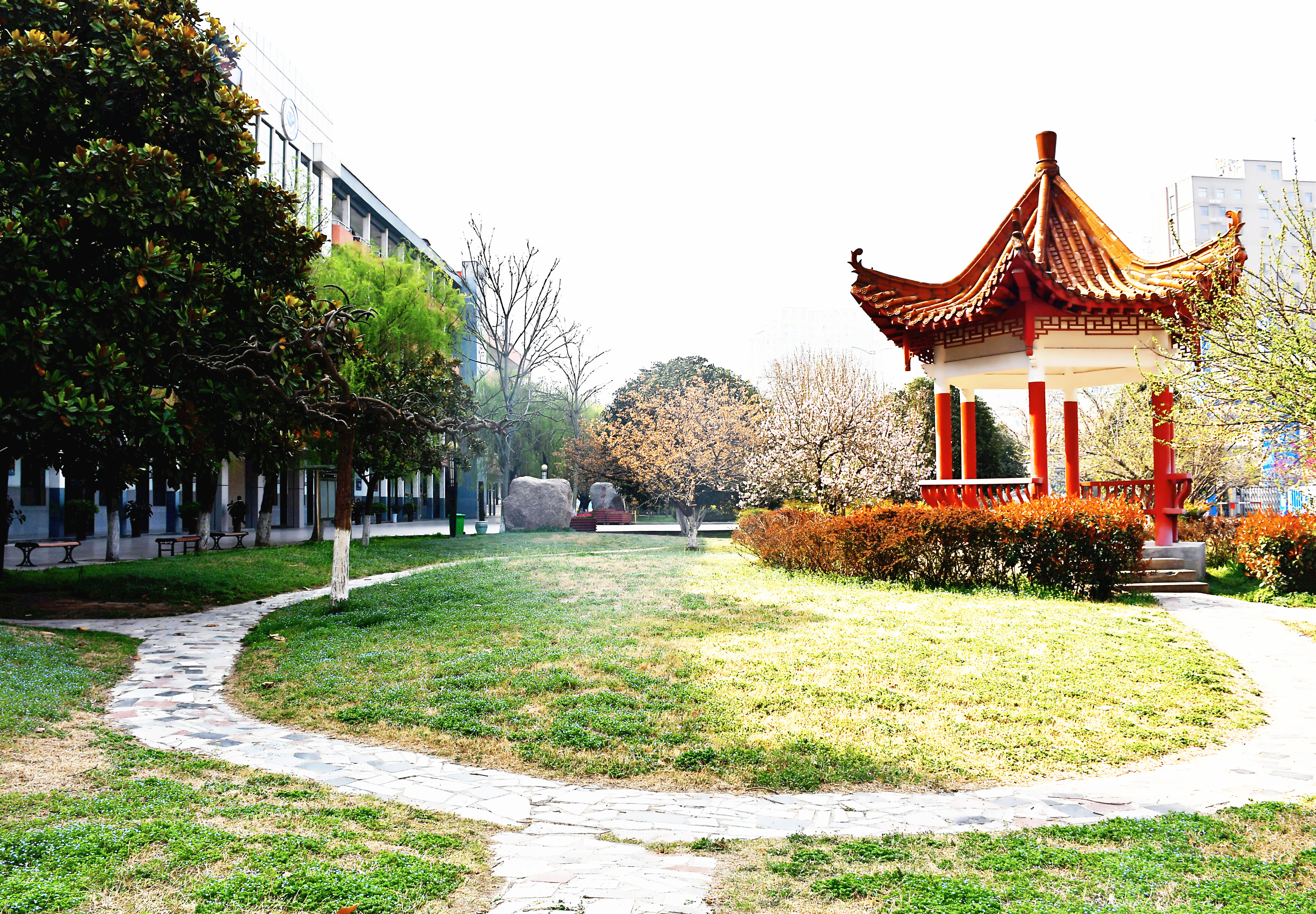 F31E0461D62058912CA72E17E41B77F5