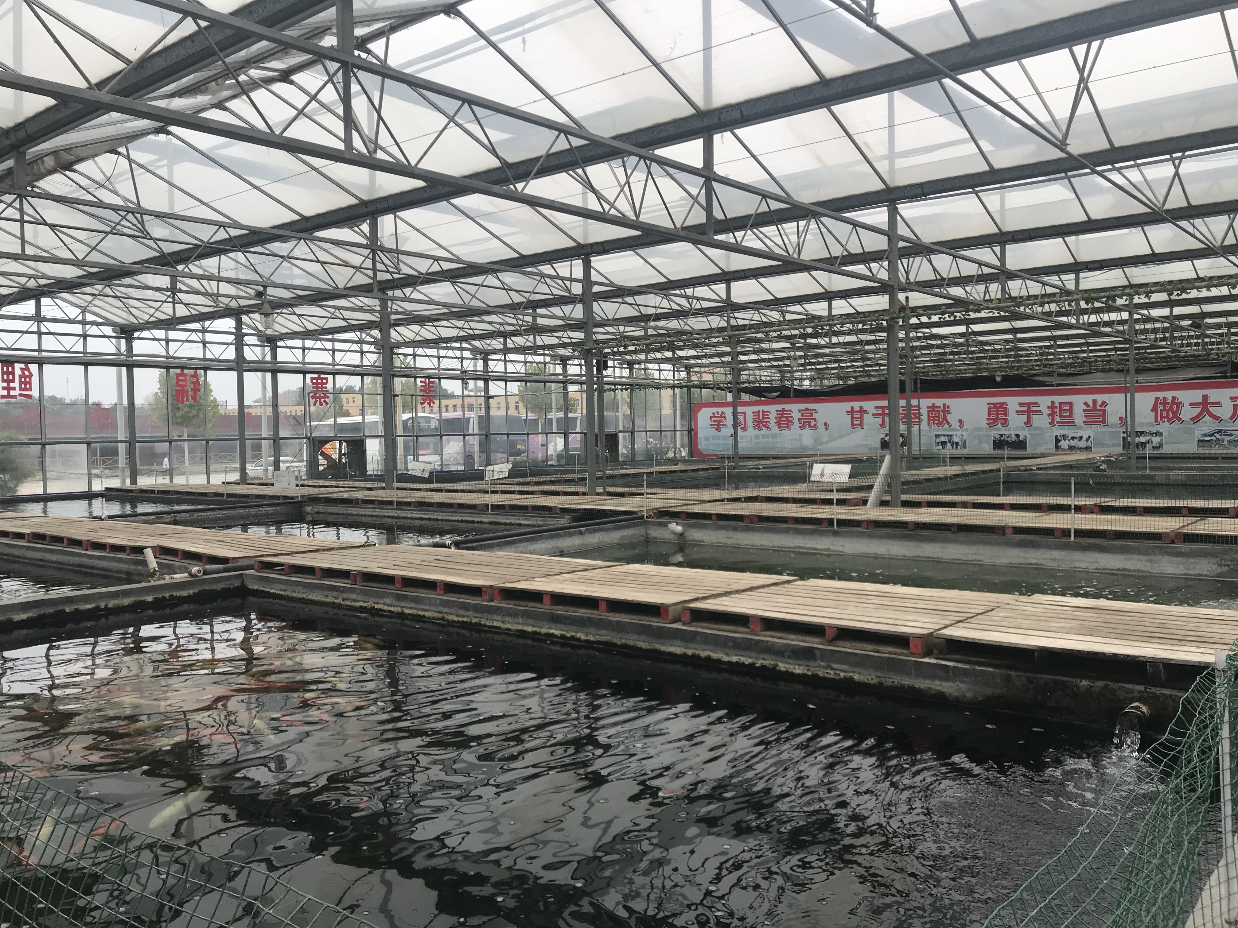 微信图片_20180914000536