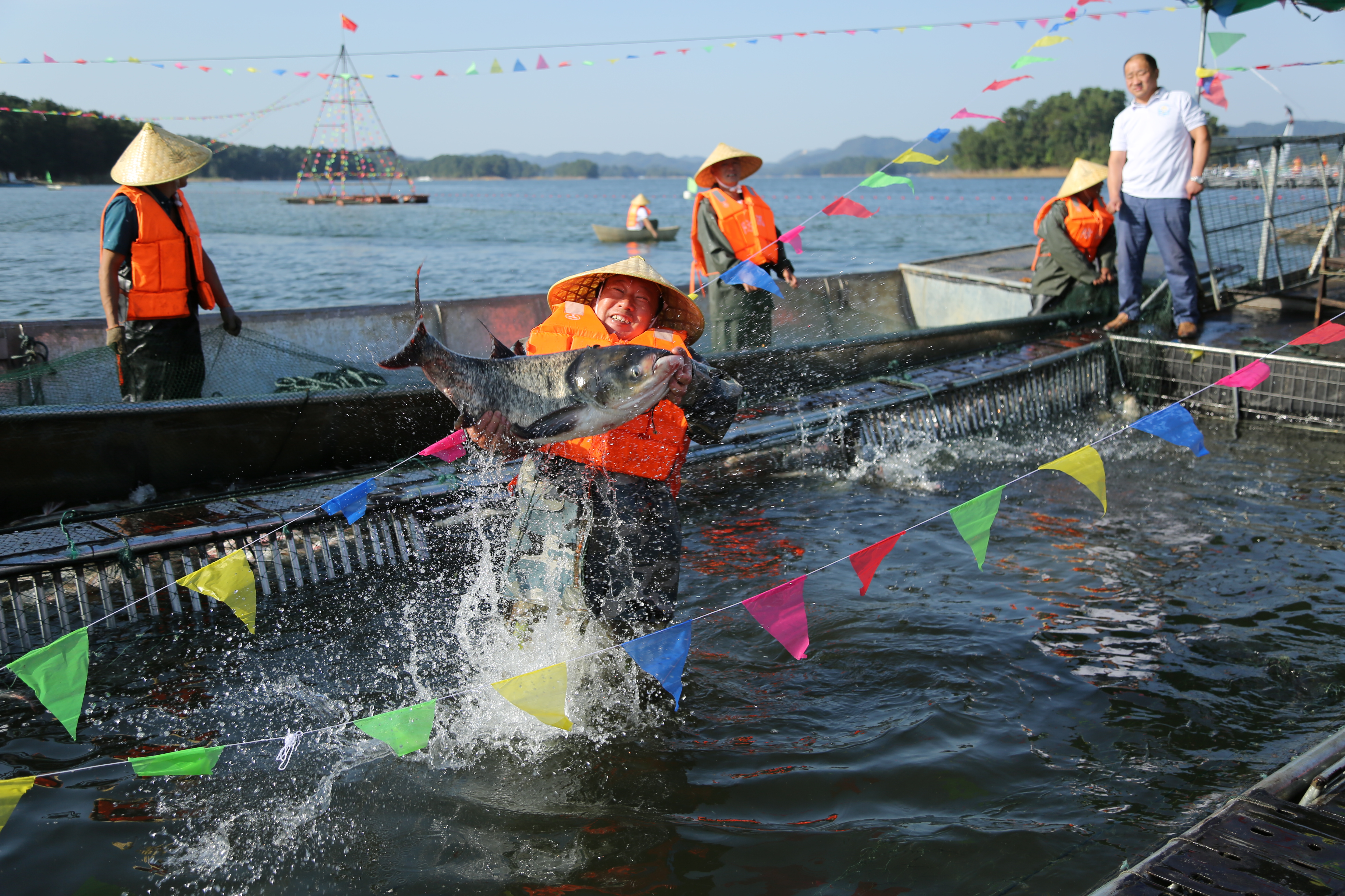 巨网捕鱼!信阳第六届南湾湖开渔节盛大开幕
