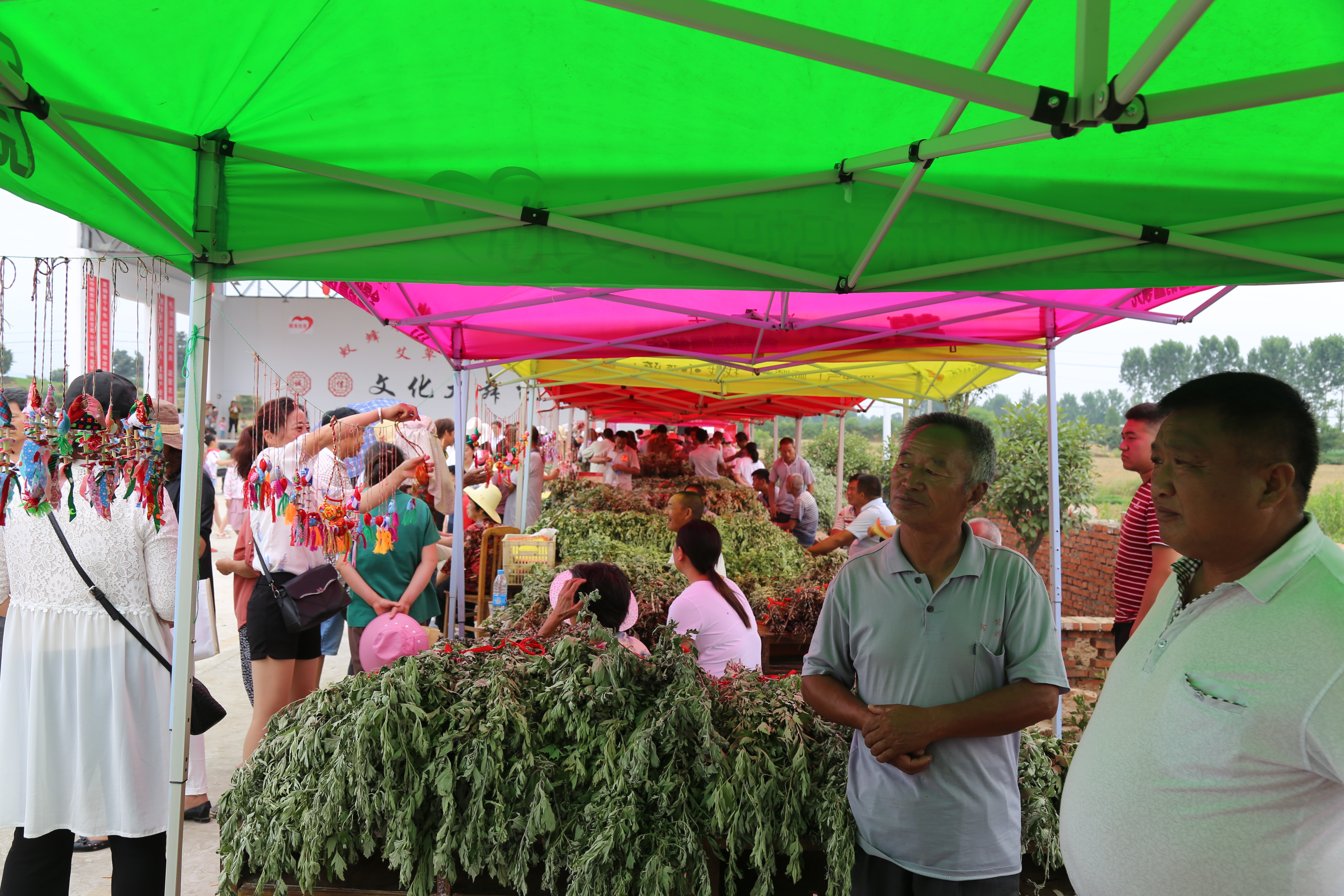 驻马店一山乡—— 端午节 起“艾”集