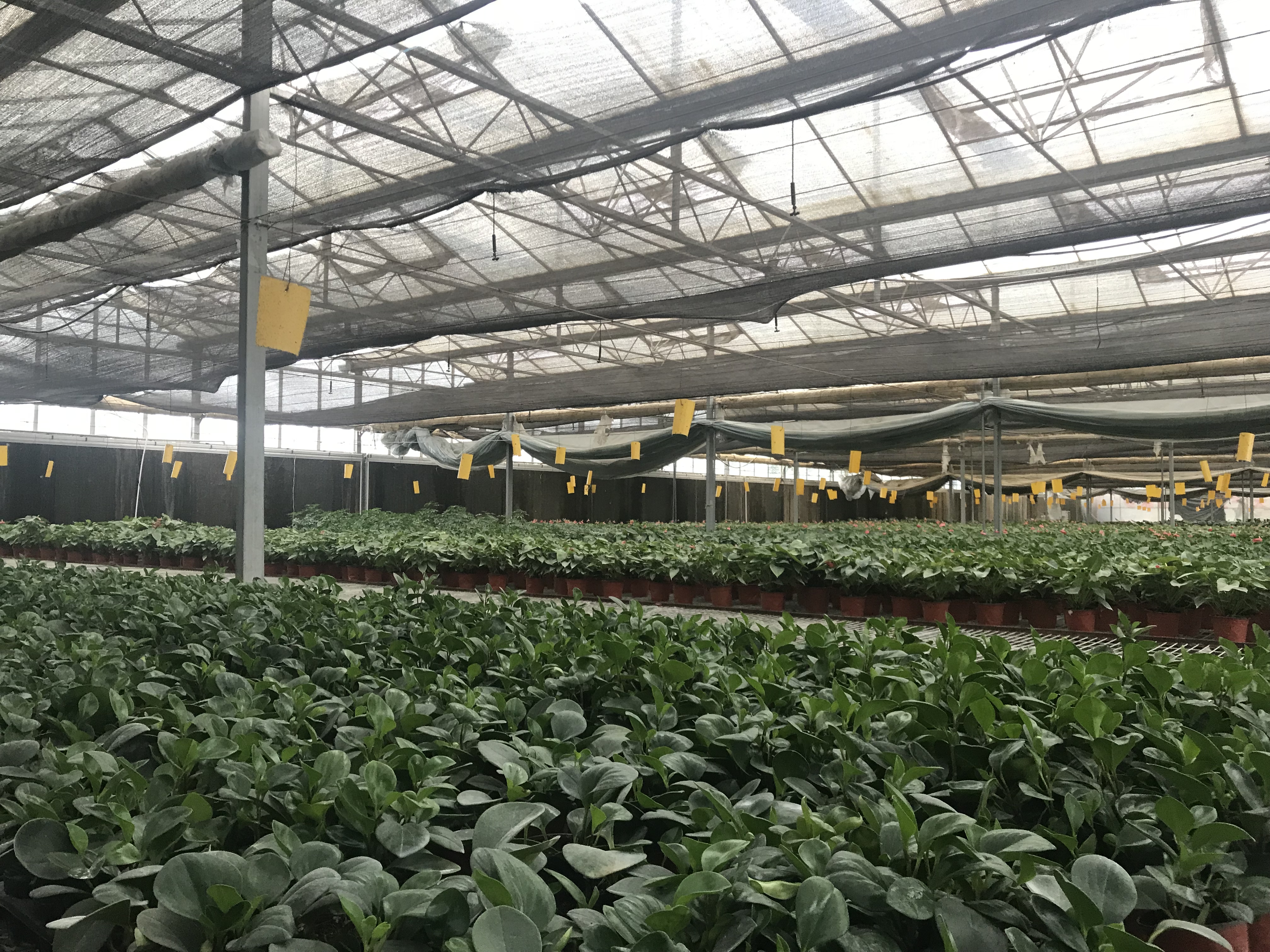 微信图片_20180914000541