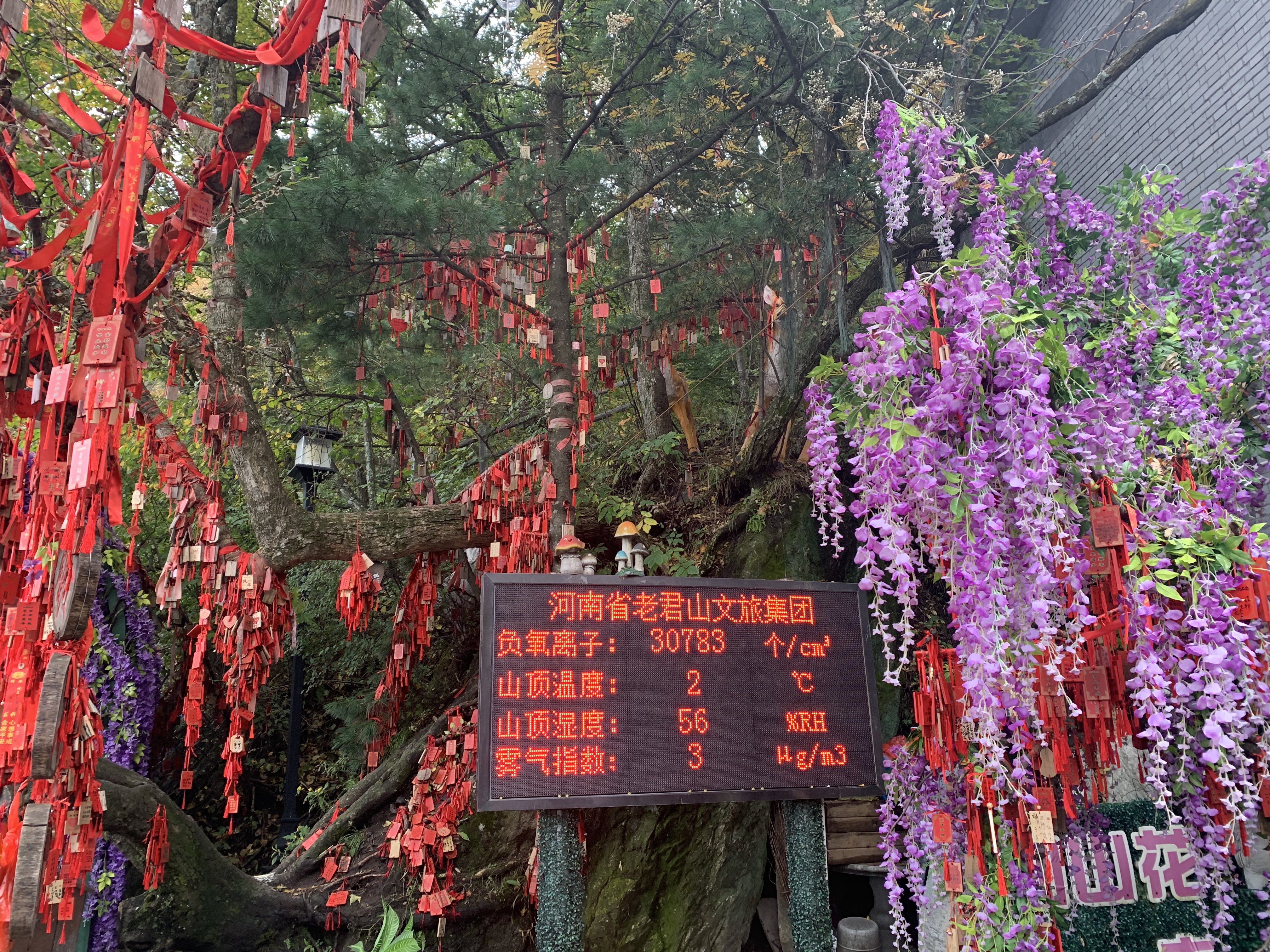 |下冰雹！河南这个地方“一秒入冬”，游客用棉衣怀揣宠物狗