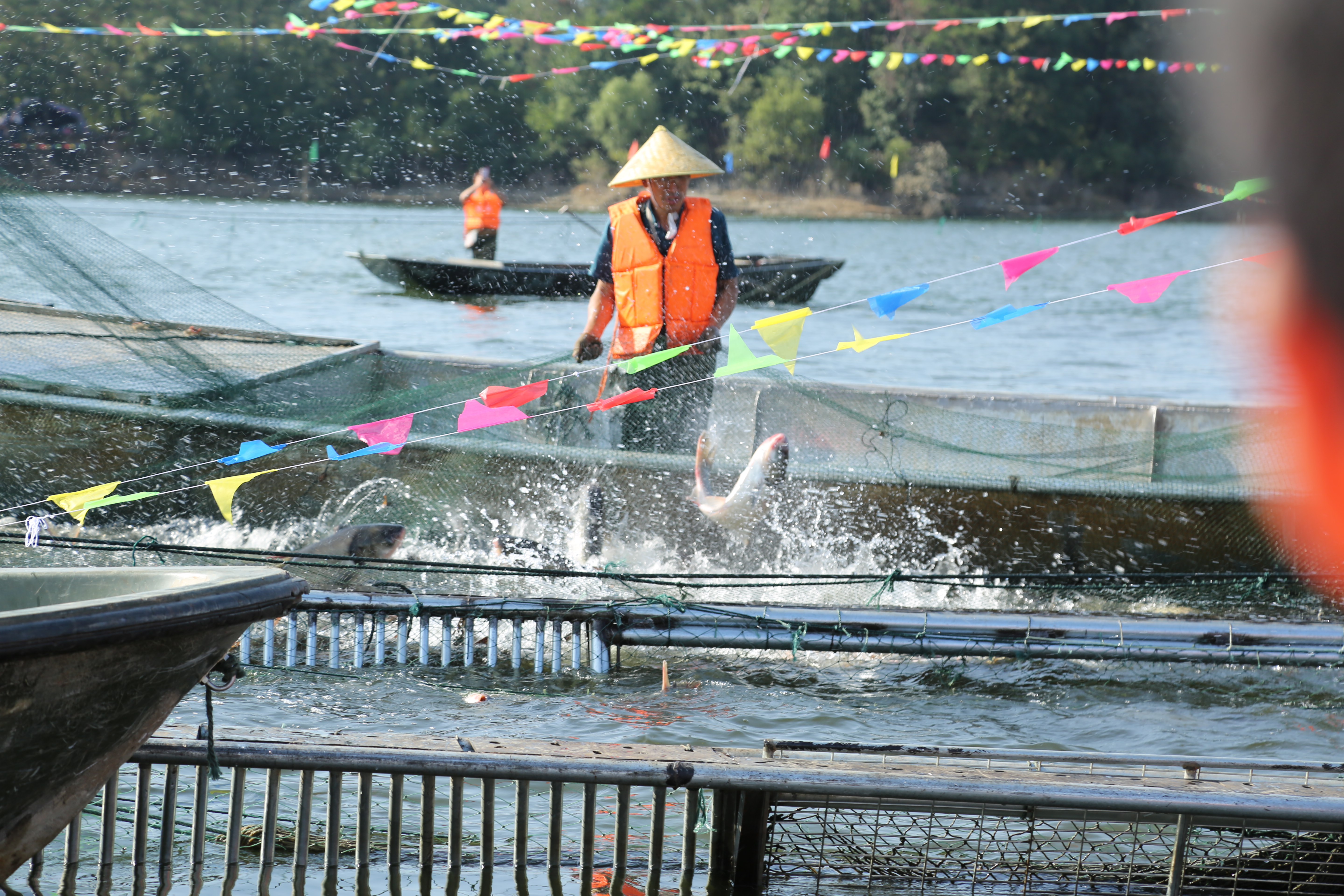 巨網捕魚信陽第六屆南灣湖開漁節盛大開幕