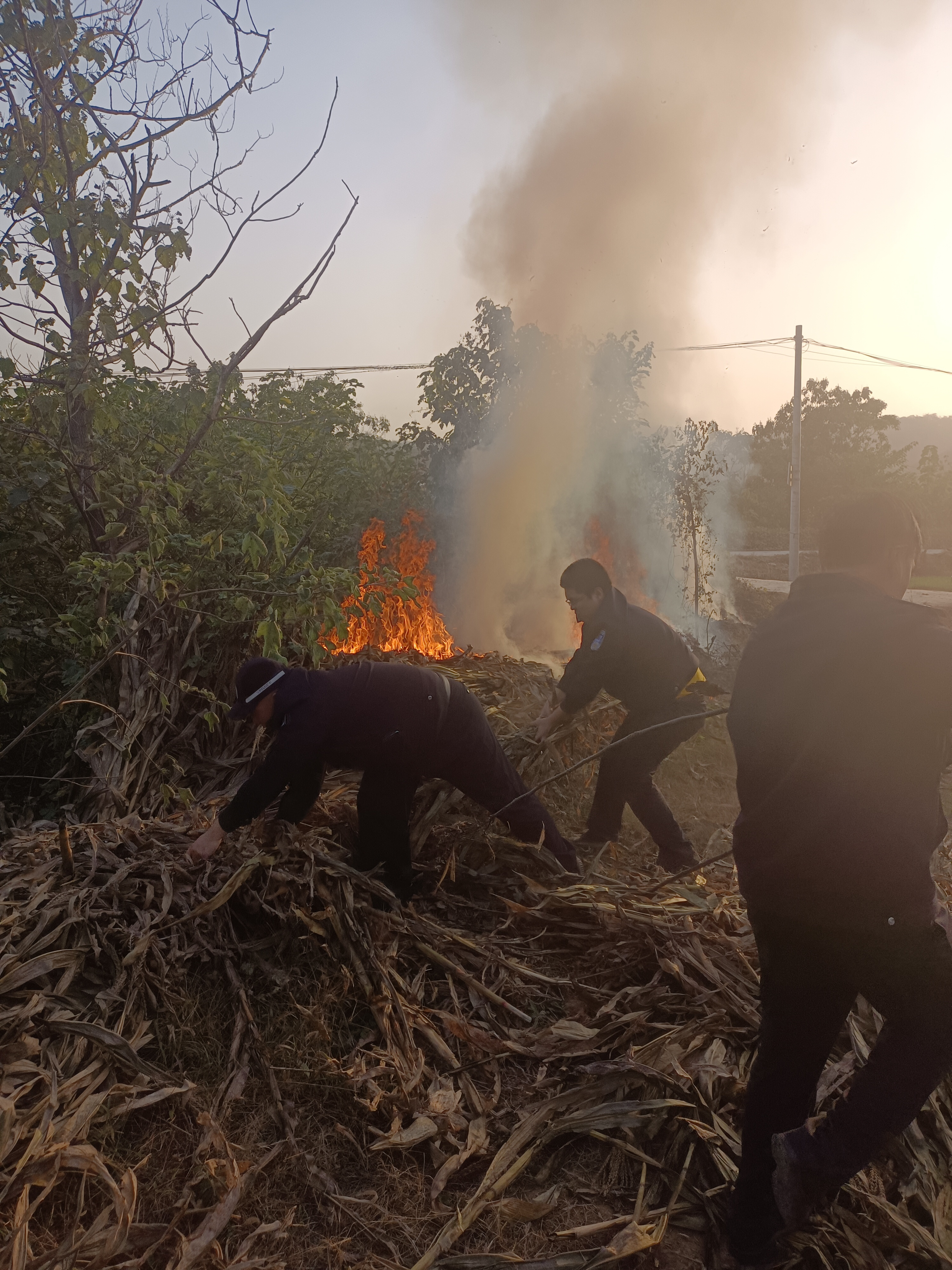 |处警途中发现田间起火，热心民辅警奋力扑救