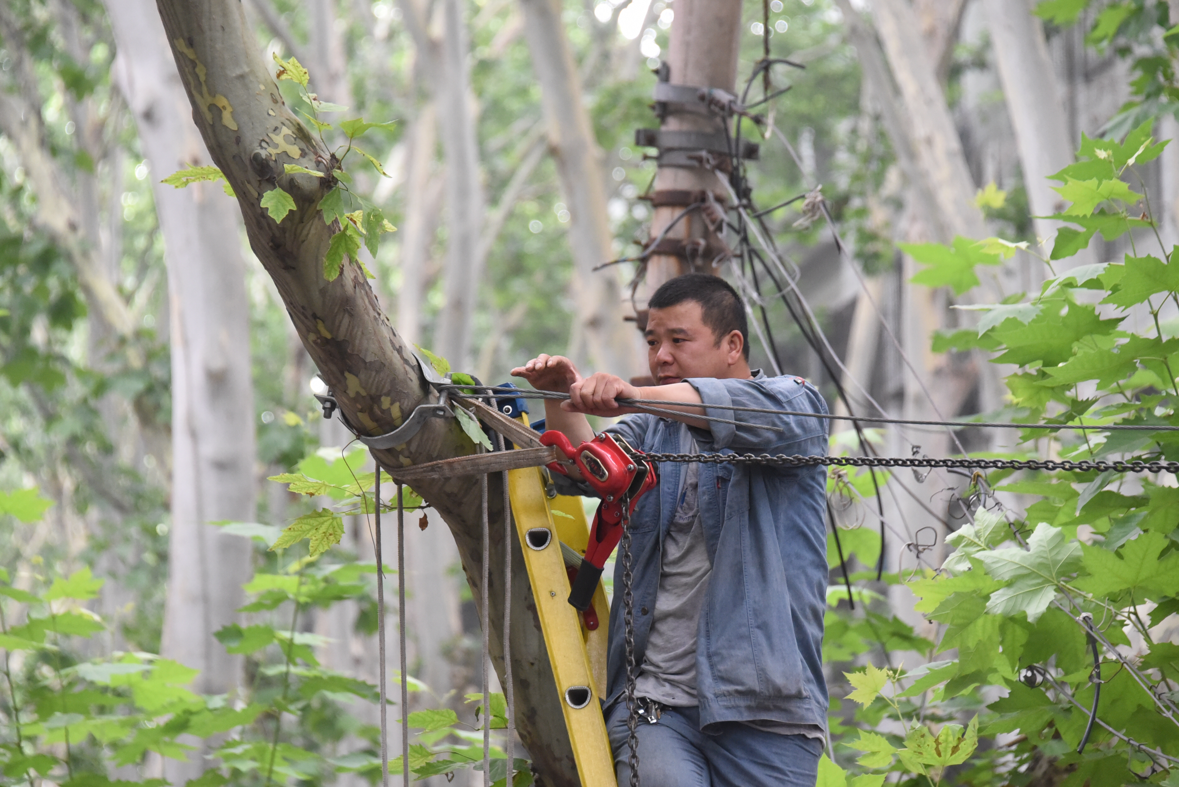 交通|旅游大巴挂落电缆线导致交通堵塞，一群人忙活仨小时才恢复畅通
